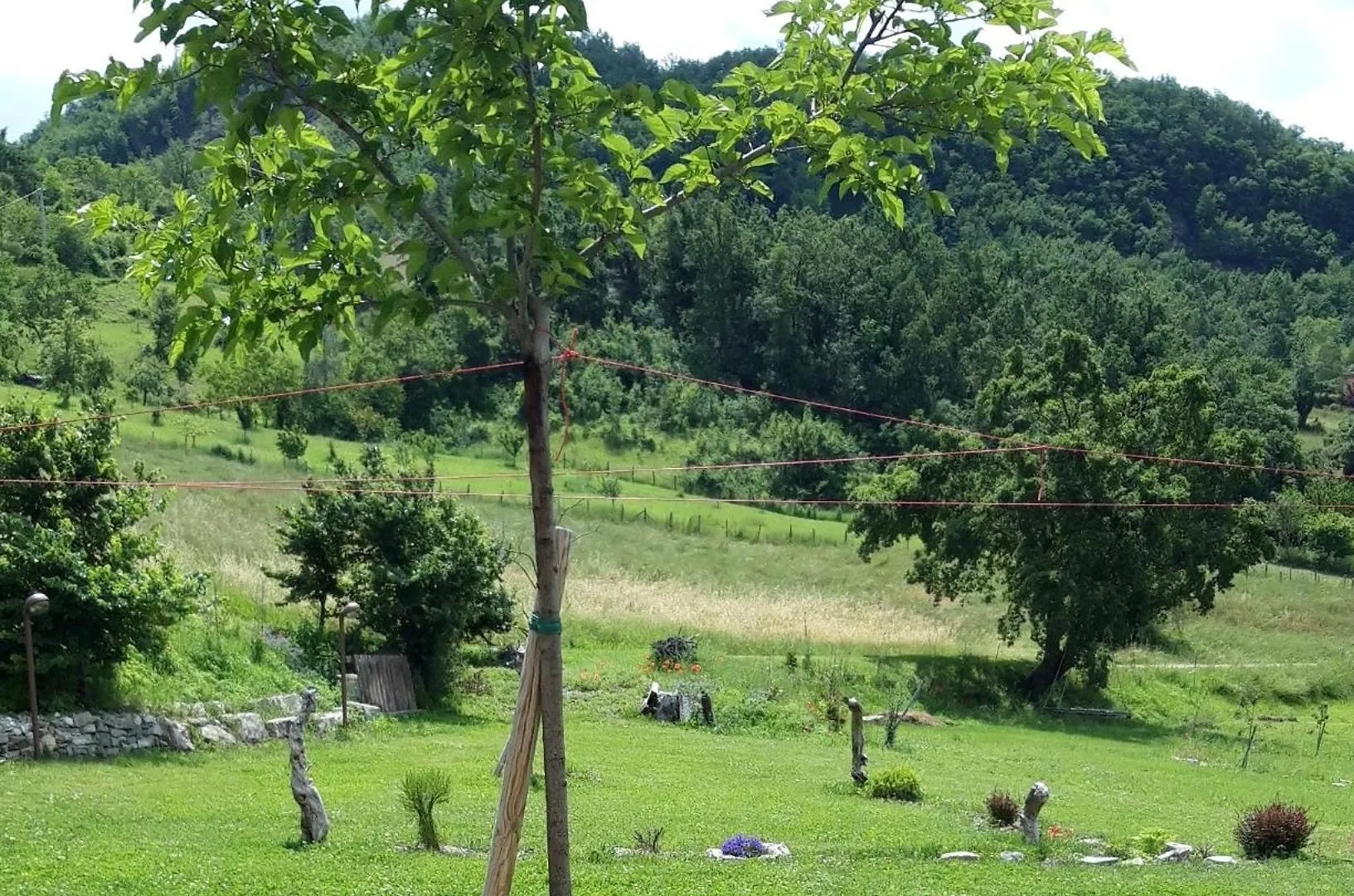 Panzió B&B Ecoantico Casa In Paglia Maiolo