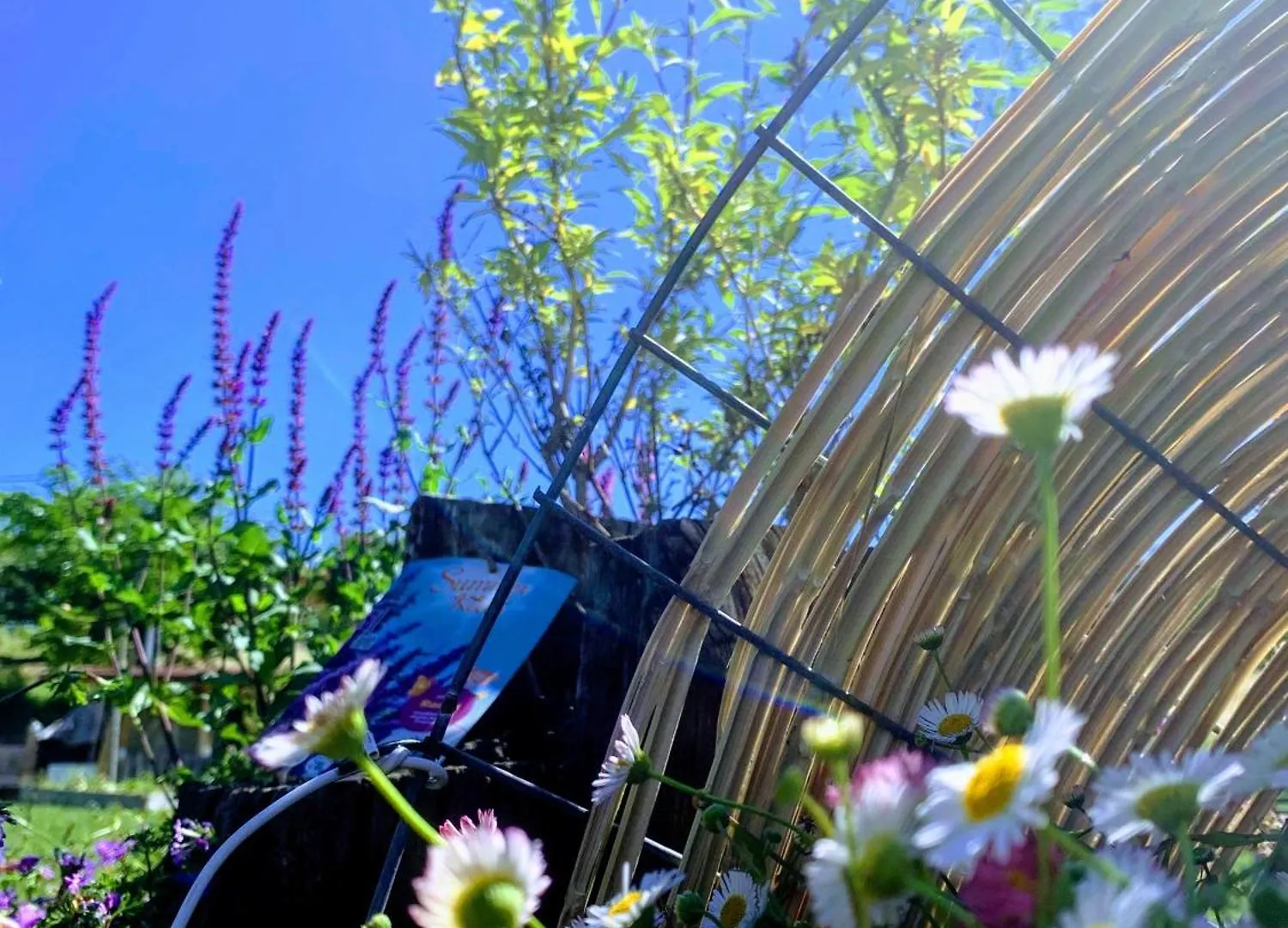 B&B Ecoantico Casa In Paglia Maiolo