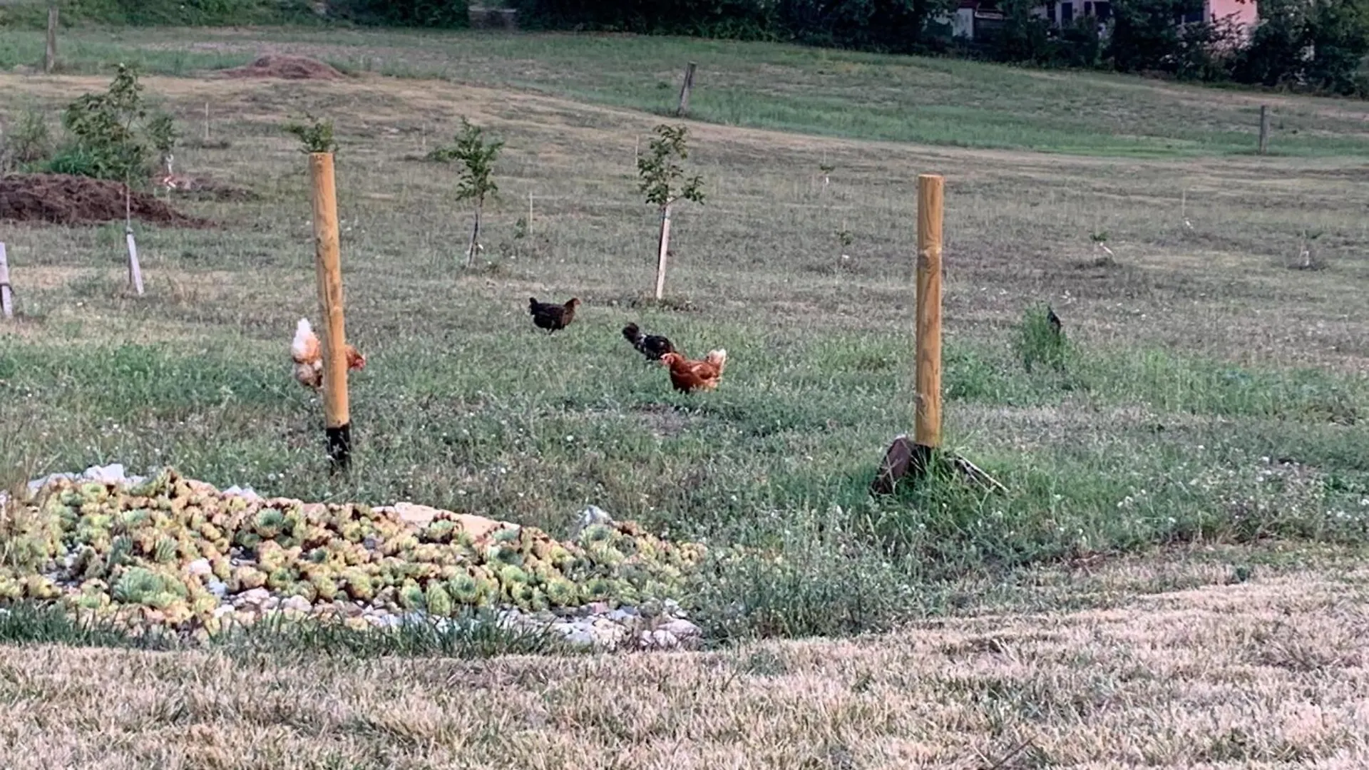 B&B Ecoantico Casa In Paglia Maiolo 0*,  Olaszország