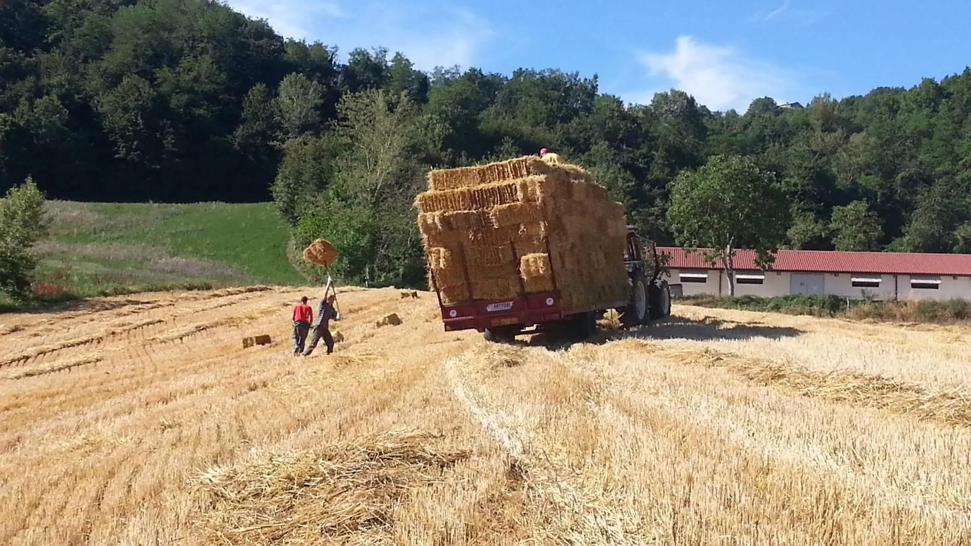 B&B Ecoantico Casa In Paglia Maiolo Panzió
