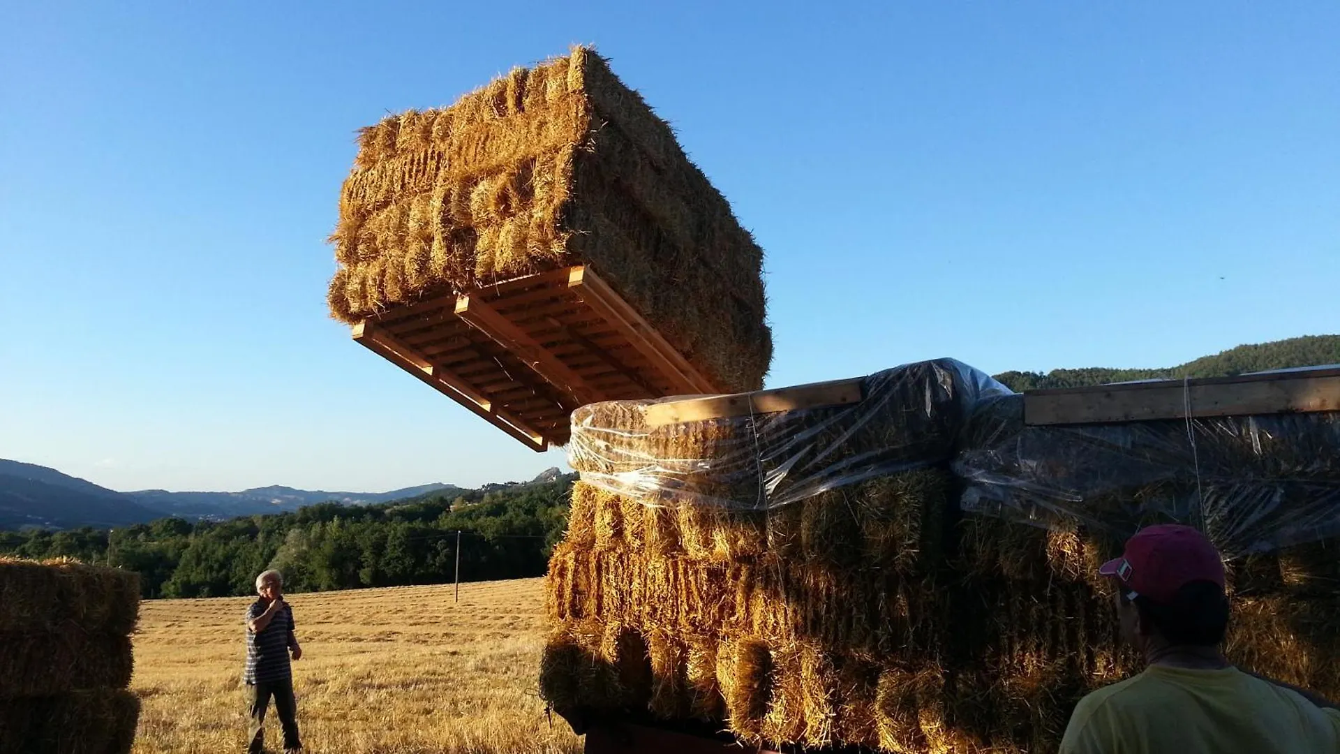 Panzió B&B Ecoantico Casa In Paglia Maiolo Olaszország